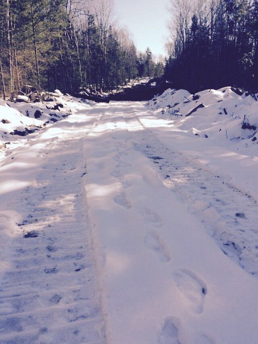 WentworthHalbinselStrasse (3)